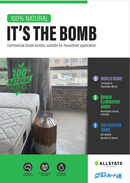 SAN-AIR Air Purifier Bomb 160g