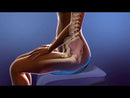 BackJoy SitSmart Core Traction Range