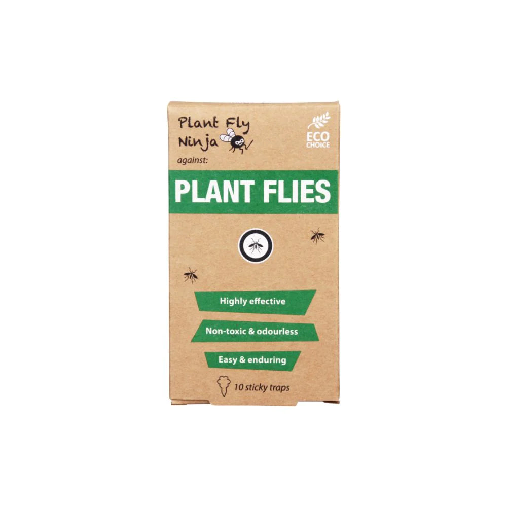 Plant fly Ninja - Mouches végétales - Mouches tristes