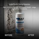 Mould Control Spray 500ml RTU