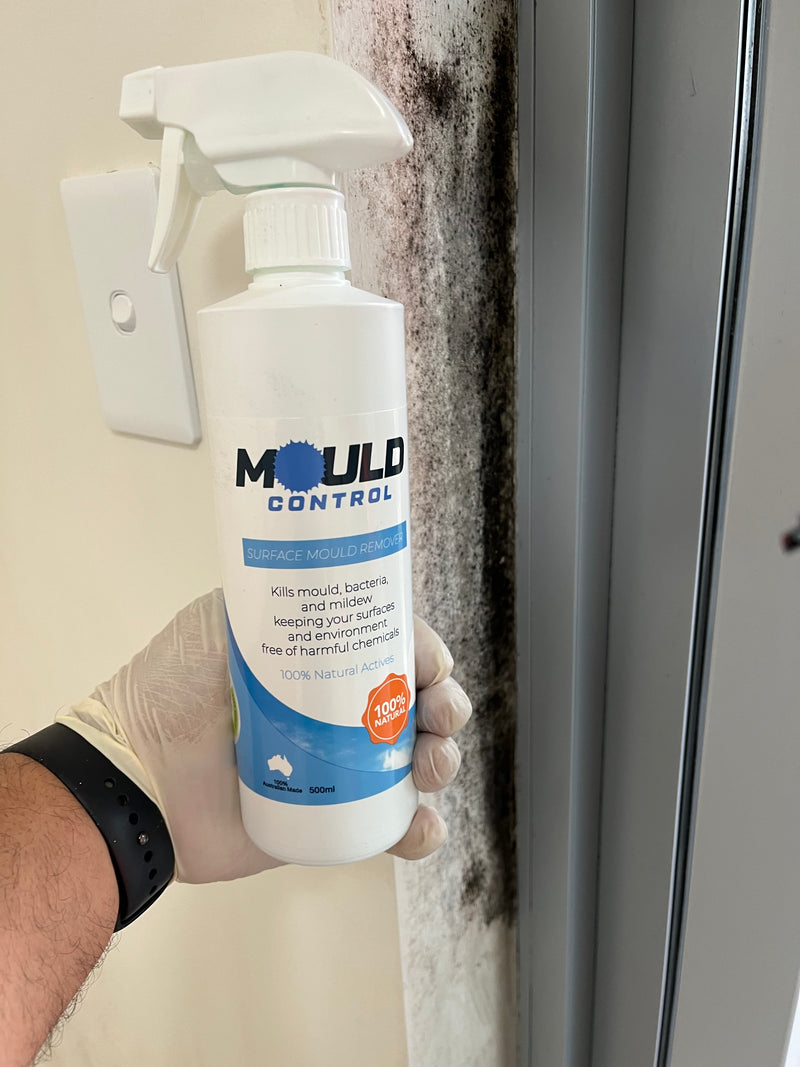 SAN-AIR  Mould Control Spray 500ml RTU