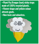 Plant Fly Ninja (fungus gnats and more)  - incl 10 x Sticky Traps