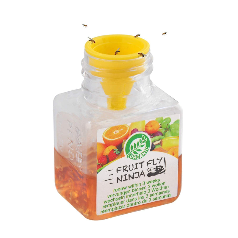 Super Ninja - Fruit Fly Trap - 12 Pack (for the price of 11)