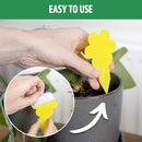Plant Fly Ninja (fungus gnats and more)  - incl 10 x Sticky Traps