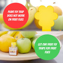 Plant Fly Ninja (fungus gnats and more)  - incl 10 x Sticky Traps