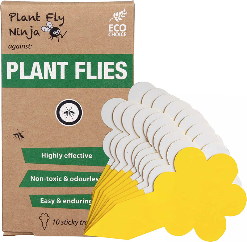 Plant Fly Ninja (fungus gnats and more)  - incl 10 x Sticky Traps