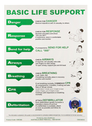 CPR Resuscitation Wall Chart A4